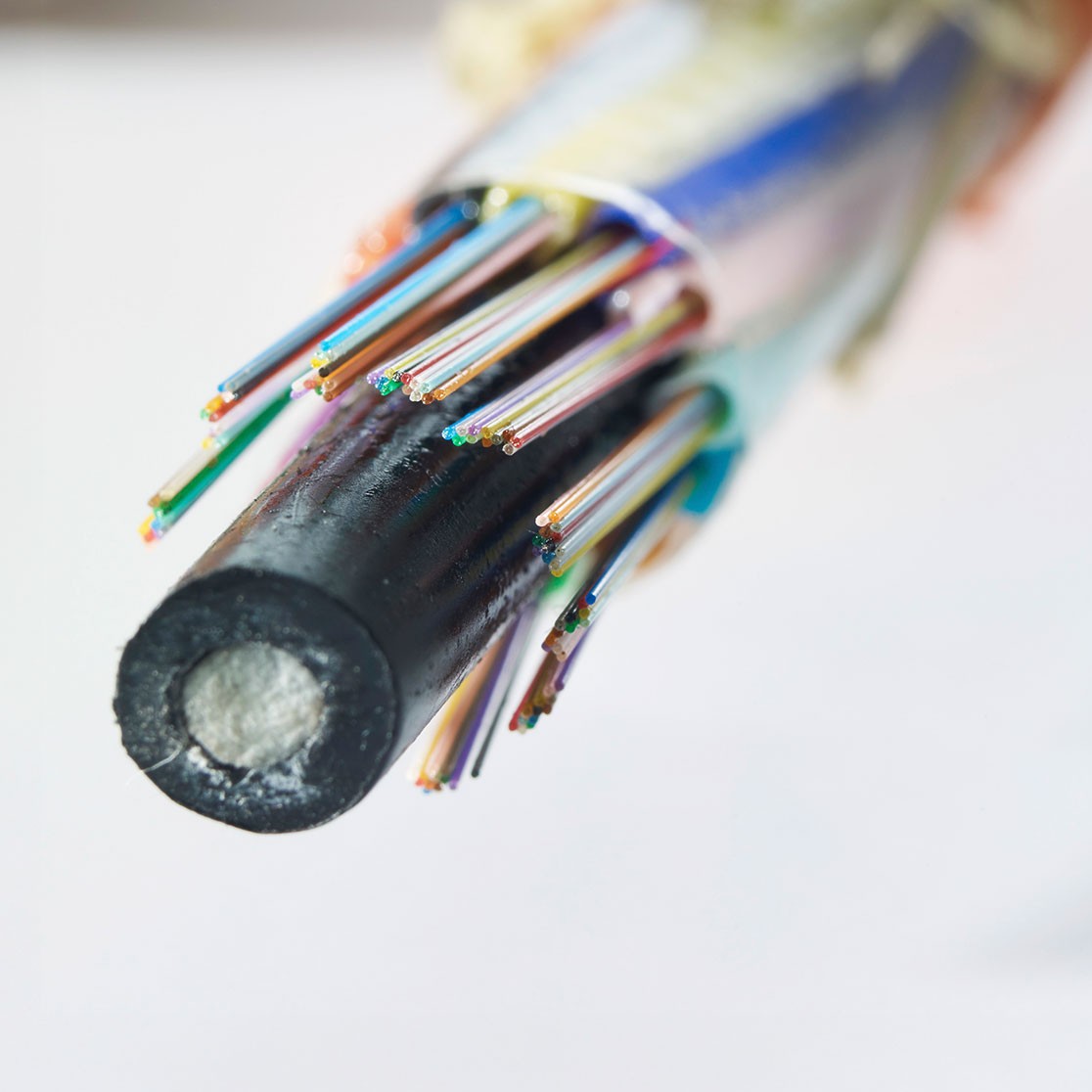 Querschnitt eines Glasfaserkabels.