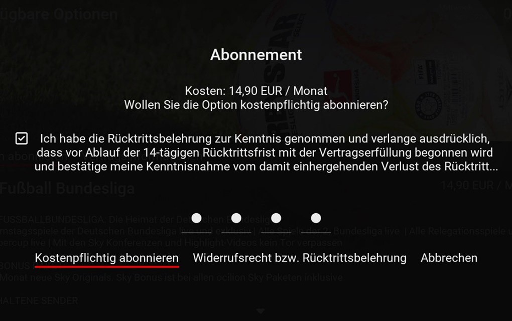 Oberfläche CableLink TV, letzte Anzeige vor Abschluss eines Sky Abos