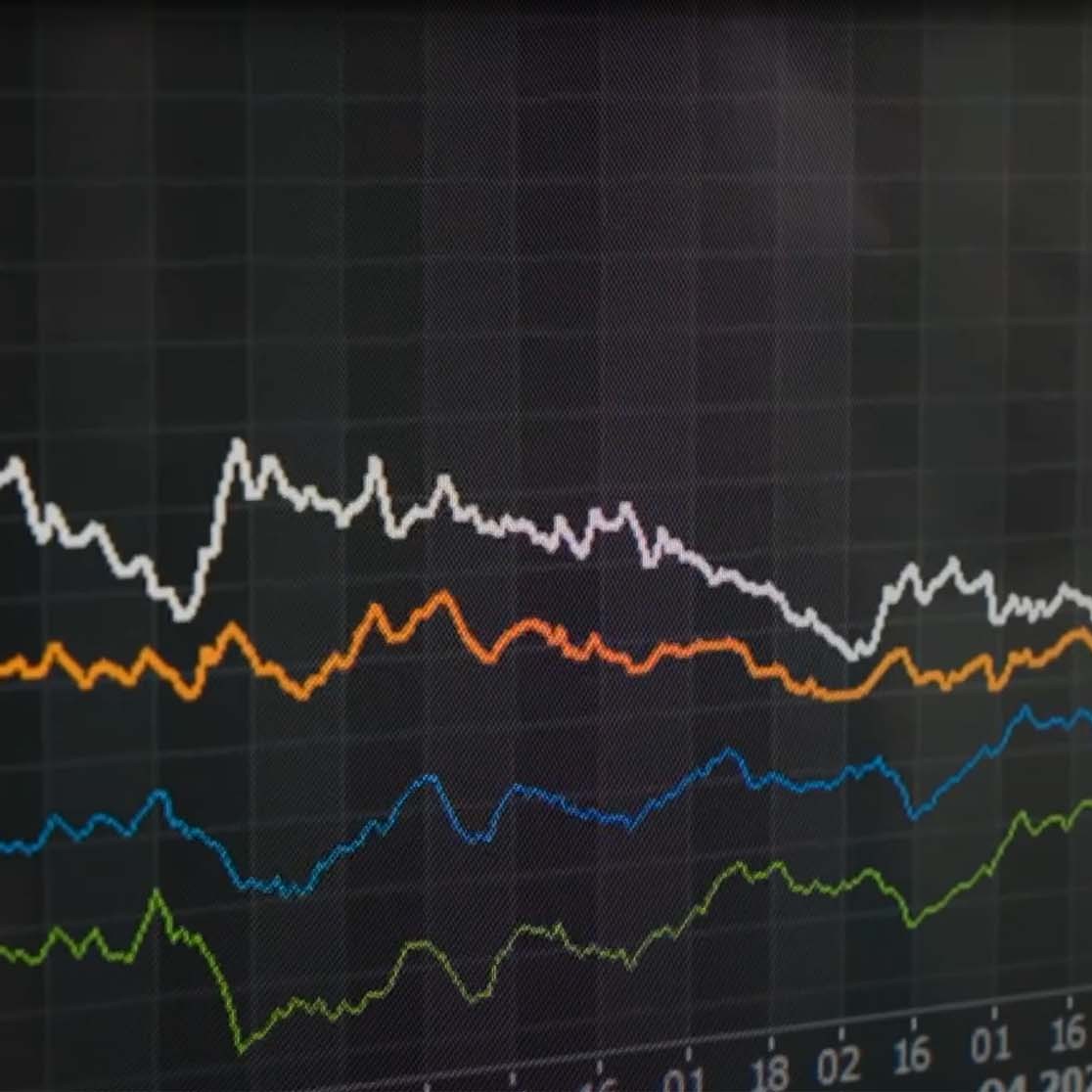 Bildschirm, welcher eine Grafik mit vier schwankenden Preisverläufen zeigt.